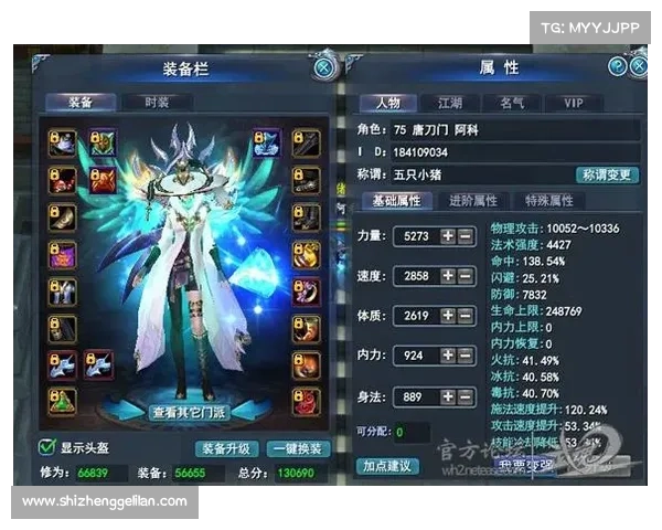如何为武魂玄冰加点打造完美平衡以提升战力与生存能力 如何为武魂玄冰加点打造完美平衡以提升战力与生存能力