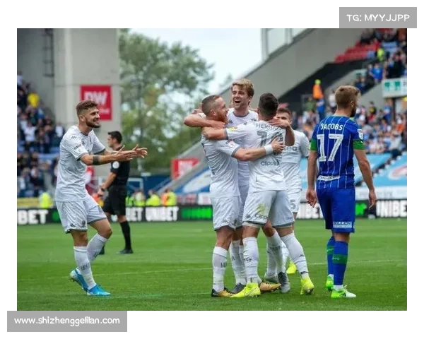 全面解析英冠联赛的赛制体系与升降级规则详解