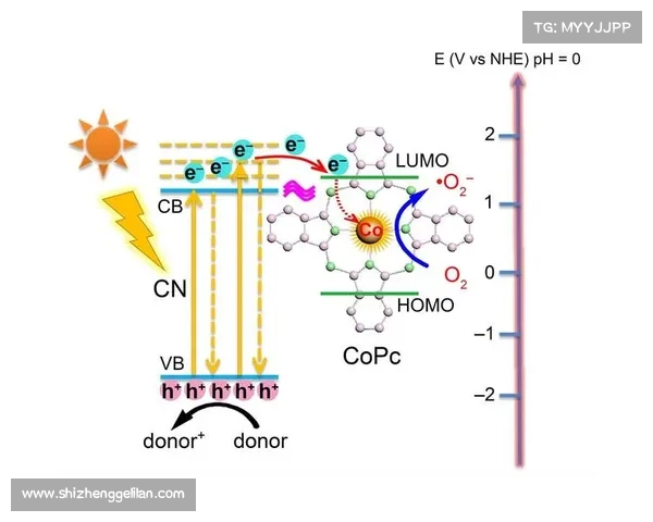 安联赞助商作用及选择标准探讨：提升品牌影响力与合作价值
